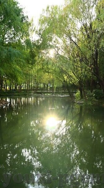葫芦娃九游游戏下载-葫芦娃九游游戏下载，重温童年经典，体验九州冒险