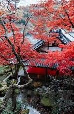 九游乱斗西游2下载-解锁新纪元，九游乱斗西游2下载体验
