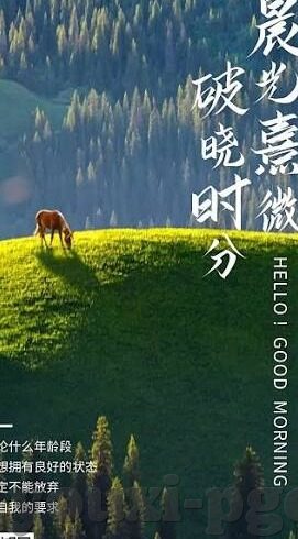 排球足球比分直播-实时竞技新体验，排球足球比分直播的魅力与价值