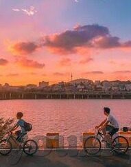 足球比分图文直播-足球比分图文直播，足球盛宴的实时视觉盛宴